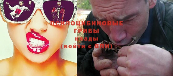 ПСИЛОЦИБИНОВЫЕ ГРИБЫ Баксан