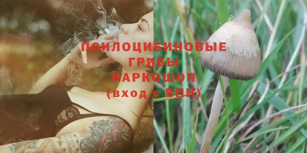 ПСИЛОЦИБИНОВЫЕ ГРИБЫ Баксан