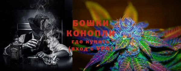 ПСИЛОЦИБИНОВЫЕ ГРИБЫ Баксан